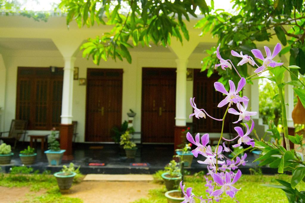 Sigiriya Flower Guest Екстер'єр фото