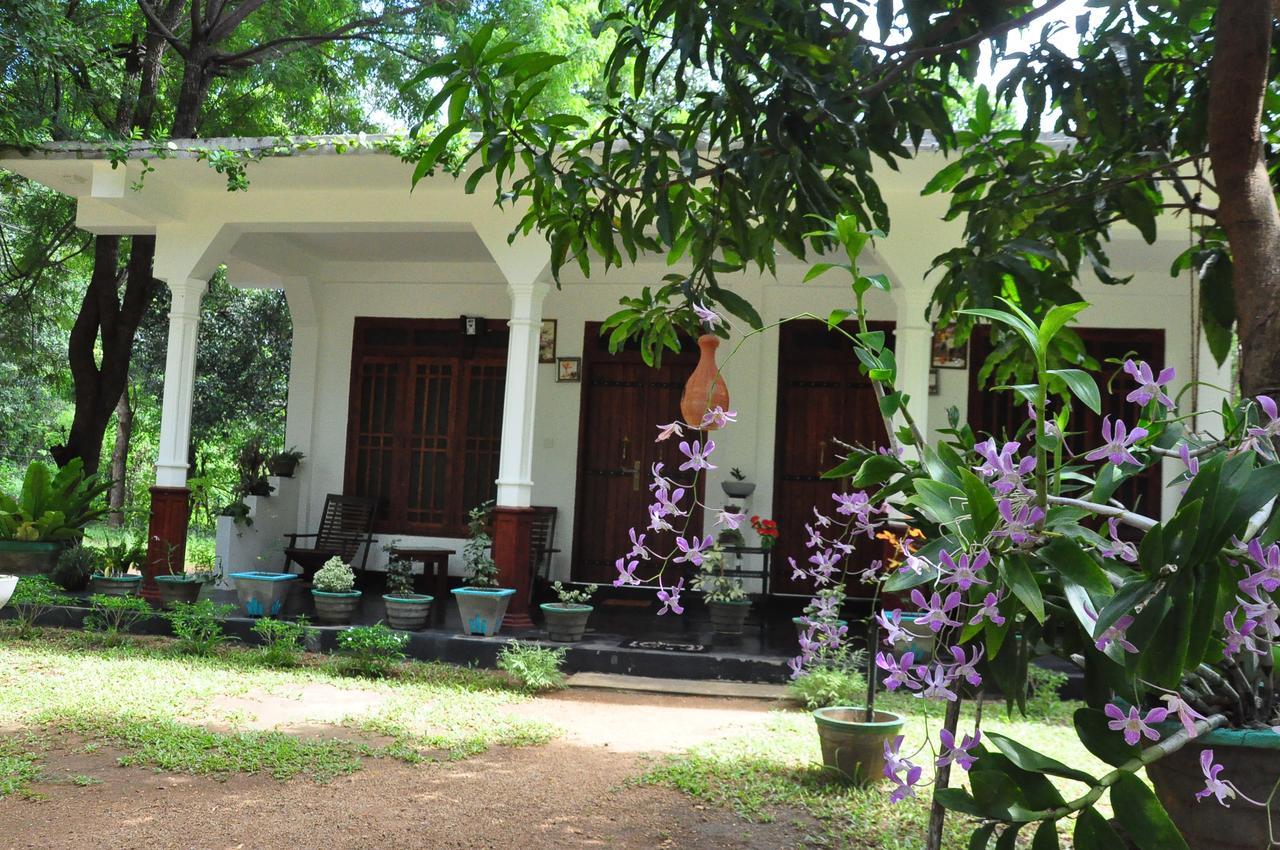 Sigiriya Flower Guest Екстер'єр фото